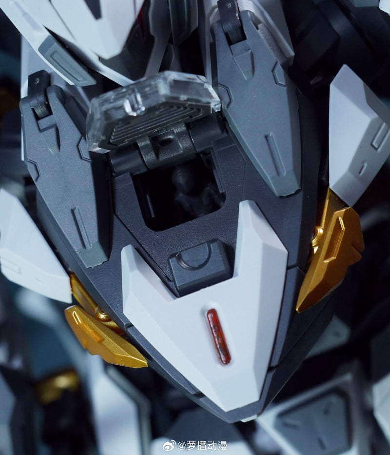 Robox Animation TEST-70 Armored Colossus BAILU AIR COMBAT CUSTOM 1/100 Model Kit