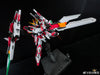 Iron Toys 1/100 Star Eternal 星恒 with Alloy Frame