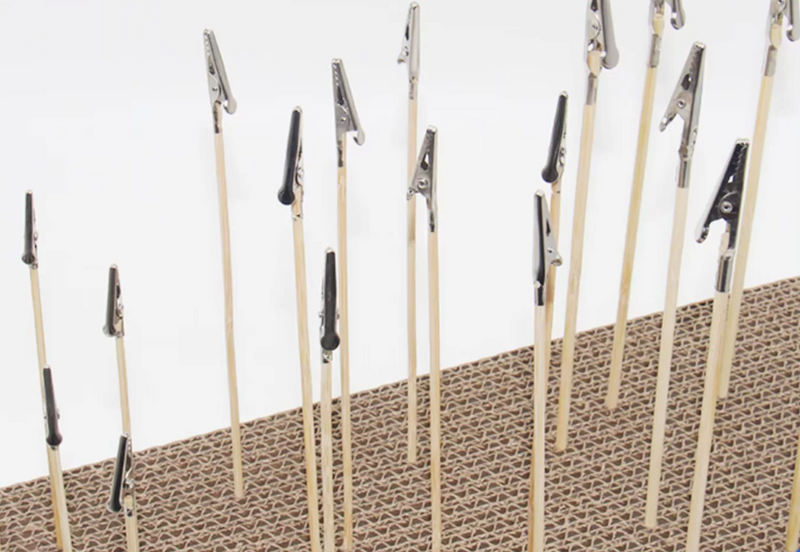 Alligator Clip Sticks 225mm Bamboo Painting Clips