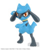 Pokemon Riolu & Lucario