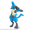 Pokemon Riolu & Lucario