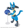 Pokemon Riolu & Lucario