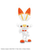 Pokemon Scorbunny Quick!