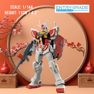 Entry Grade 1/144