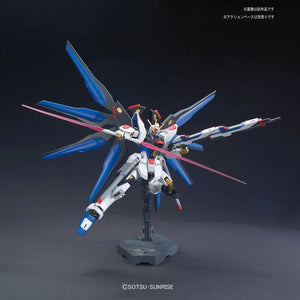 HG 1/144 HGCE ZGMF-X20A Strike Freedom Gundam