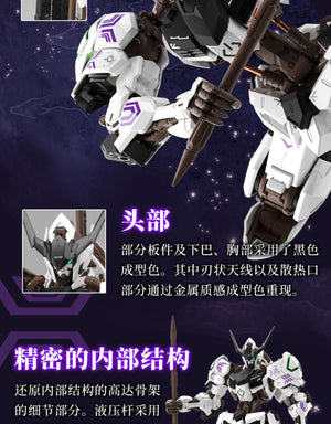 Bandai China 2023 Limited Edition MG 1/100 Barbatos (Ver. Black Tortoise)