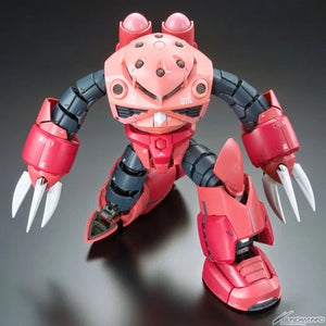 RG 1/144 MSM-07S Z'Gok
